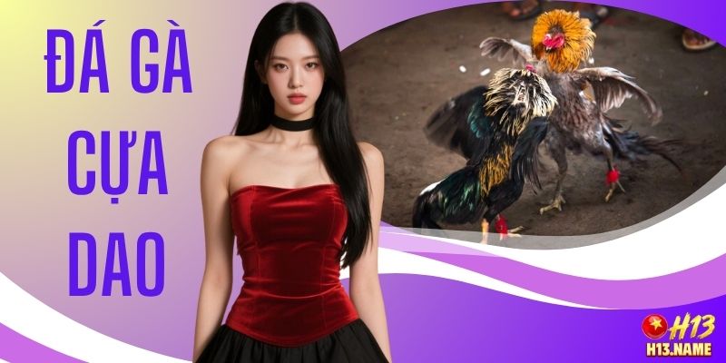Đá Gà Cựa Dao Kịch Tính Cùng 3 Giống Chiến Kê Hàng Đầu 5 Đá Gà Cựa Dao Kịch Tính Cùng 3 Giống Chiến Kê Hàng Đầu